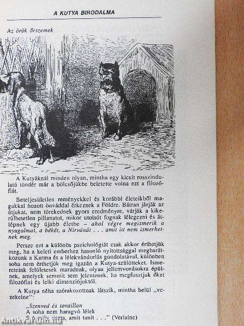 A Kutya