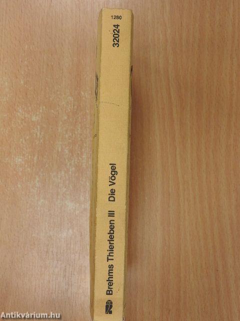 Brehm's Thierleben III - Die Vögel