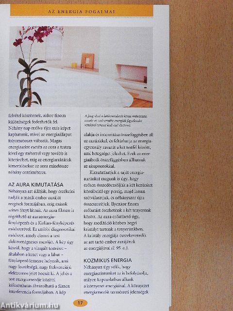 Energiafokozók kézikönyv