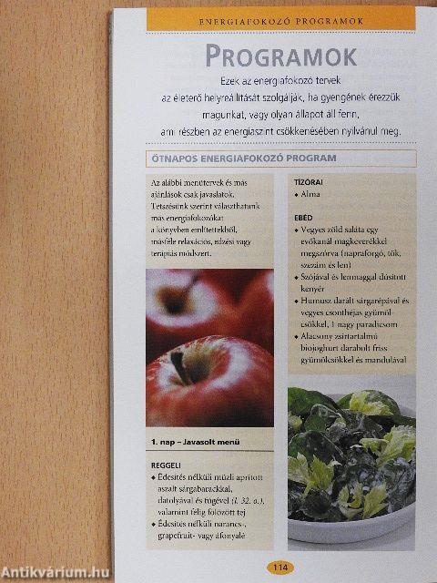 Energiafokozók kézikönyv