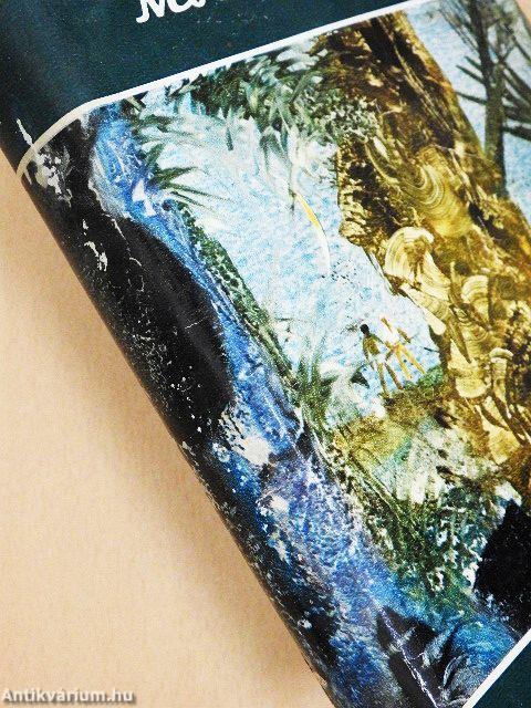 Pálmakunyhó az őserdőben