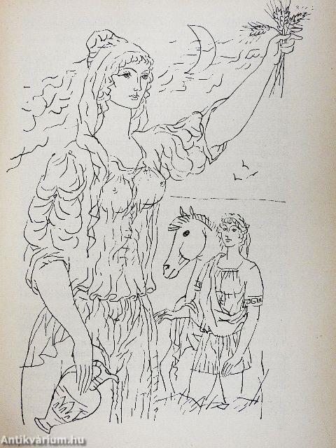 Istennő szépséges fia