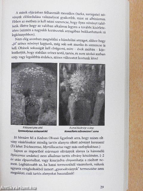 Kaktuszok kislexikona