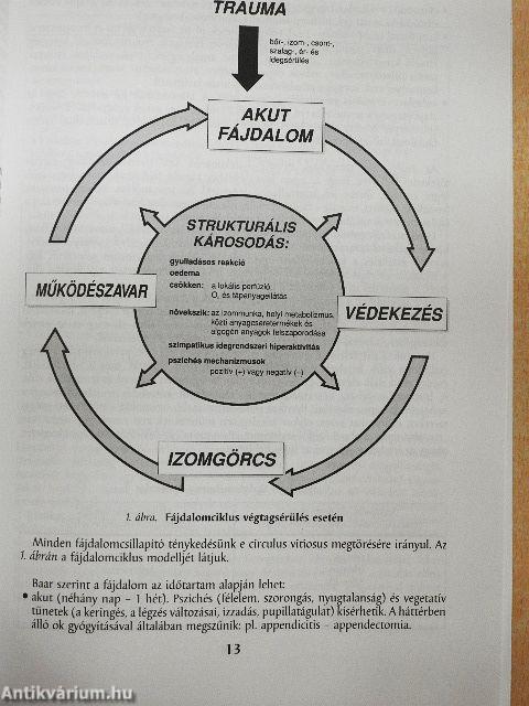 A fájdalom és a transcutan elektromos idegingerlés-blokád
