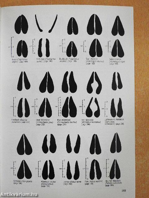 Field Guide to the Mammals of Southern Africa