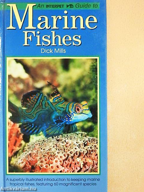 An Interpet Guide to Marine Fishes