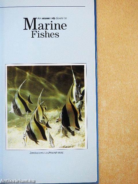An Interpet Guide to Marine Fishes