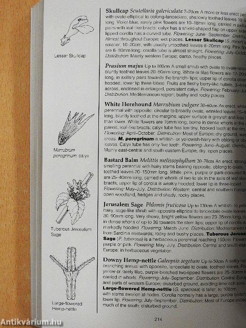 Wild Flowers of Britain and Europe