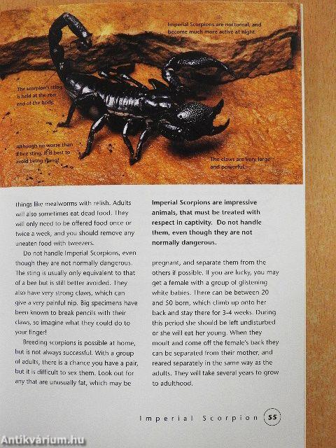 Keeping Creepy Crawlies