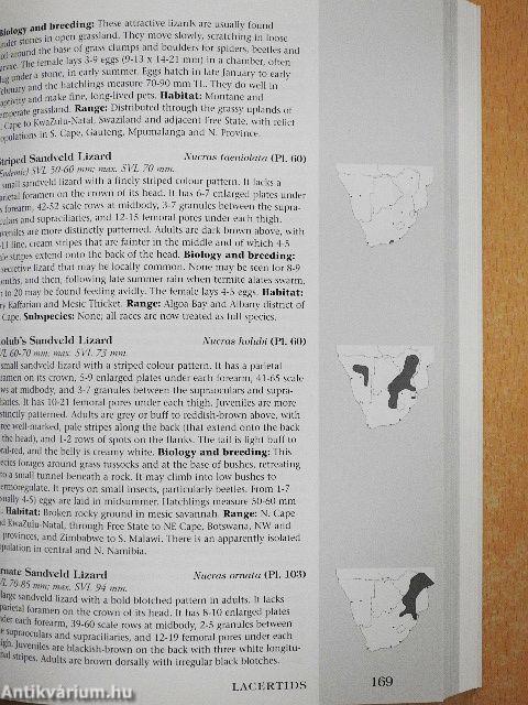 Field Guide to Snakes 