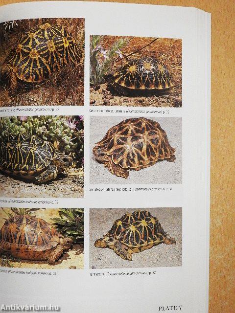 Field Guide to Snakes 