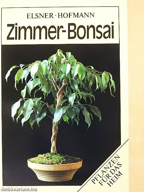 Zimmer-Bonsai