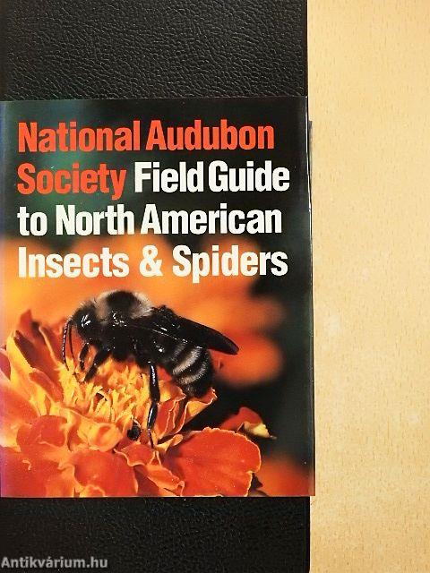 National Audubon Society Field Guide to North American Insects & Spiders