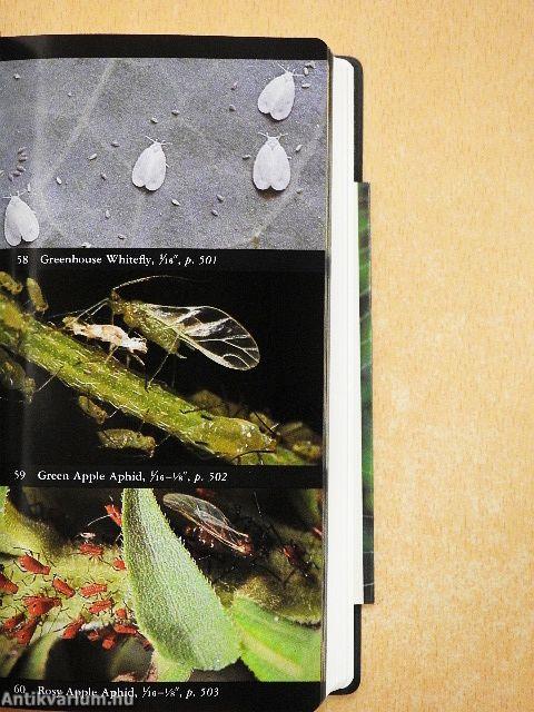 National Audubon Society Field Guide to North American Insects & Spiders