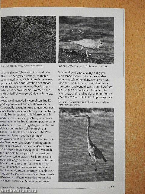 Reiseführer Natur Galapagos