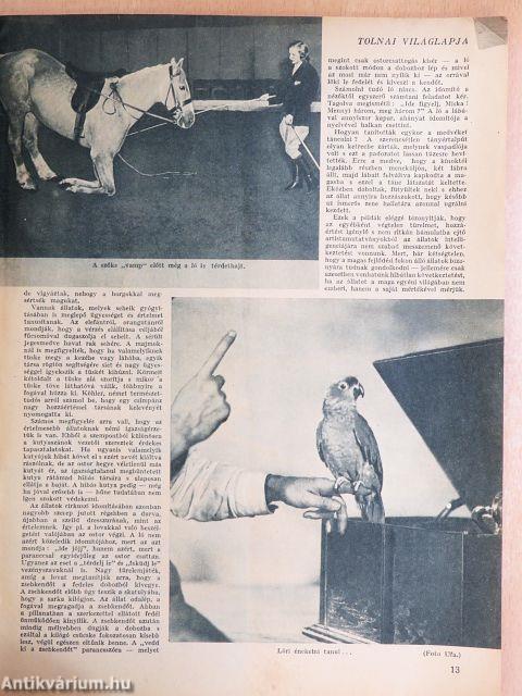 Tolnai Világlapja 1938. július 6.