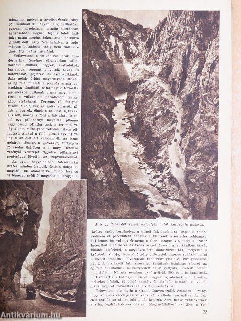 A Pesti Hirlap Vasárnapja 1934. február 25.