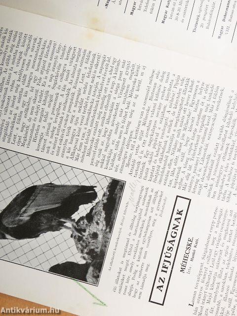 A Természet 1935. május