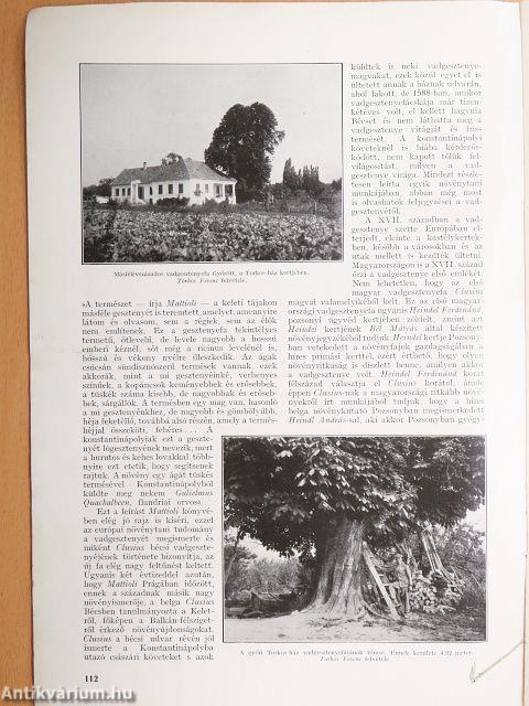 A Természet 1935. május