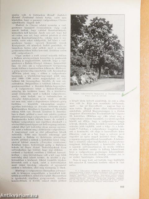 A Természet 1935. május