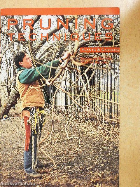 Pruning Techniques