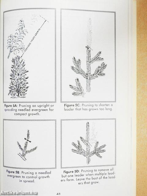 Pruning Techniques