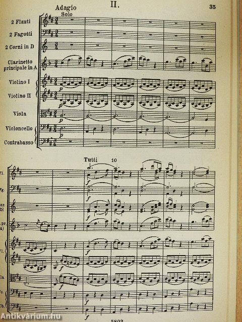 Konzert für Klarinette und Orchester