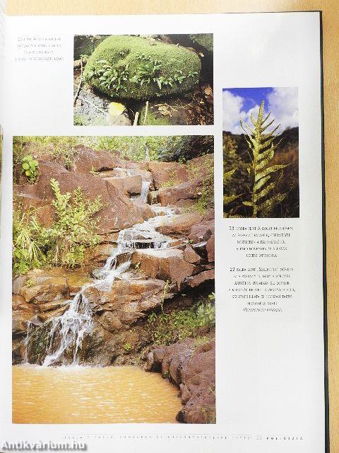 Polinézia gyöngyszemei