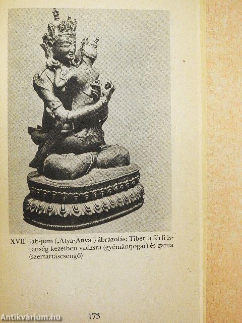 Buddhizmus a buddhológia tükrében