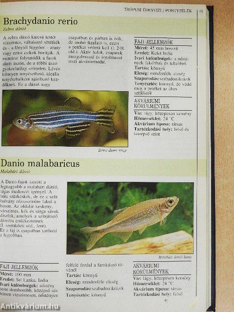 Akvarista kézikönyv