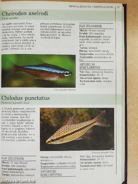 Akvarista kézikönyv