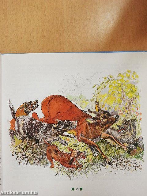 Lovak, kutyák, madarak