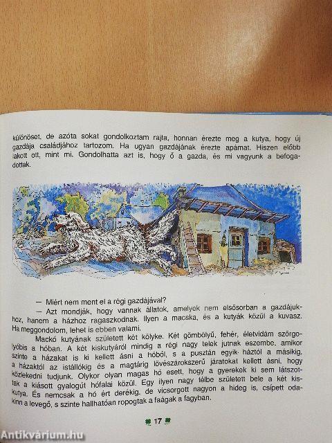 Lovak, kutyák, madarak