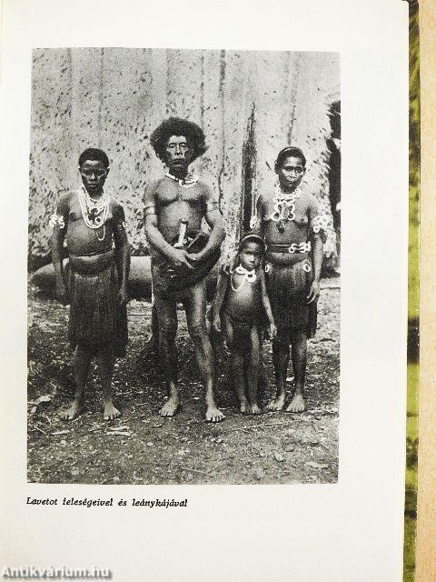 Egyszemélyes expedíció