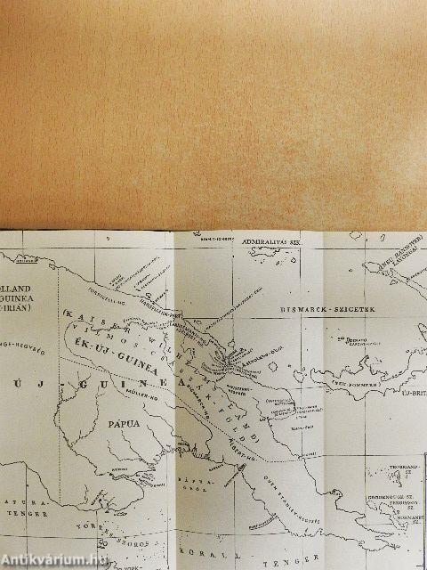 Egyszemélyes expedíció