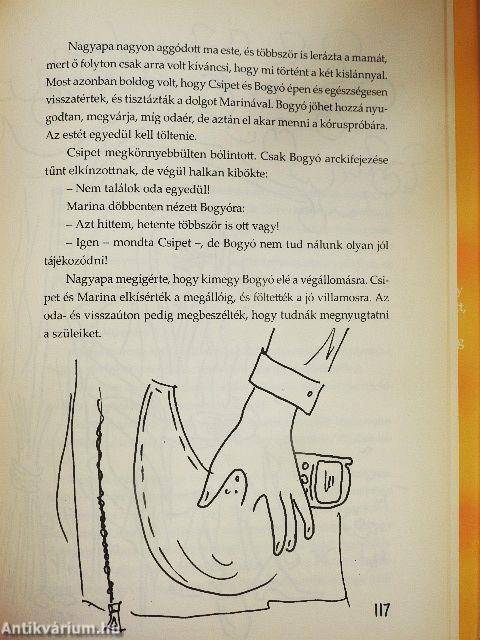 Csipet és Bogyó a pácban