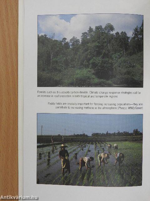 The Atmosphere of the living planet Earth