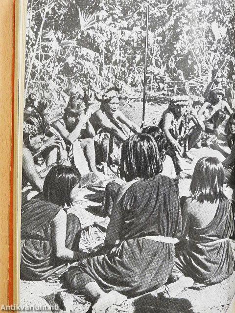 A folyók keletnek tartanak