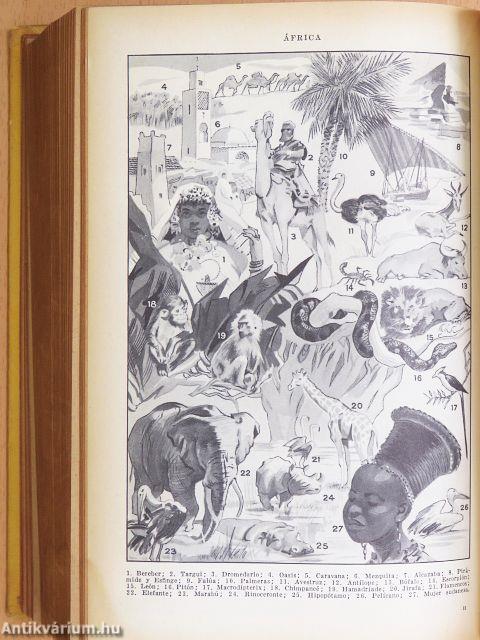 Nuevo Pequeno Larousse Ilustrado