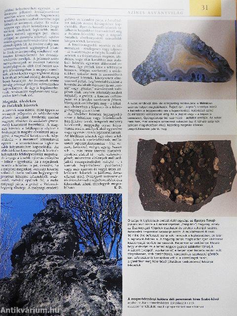 Pannon Enciklopédia - A magyarság kézikönyve