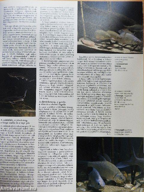 Pannon Enciklopédia - A magyarság kézikönyve