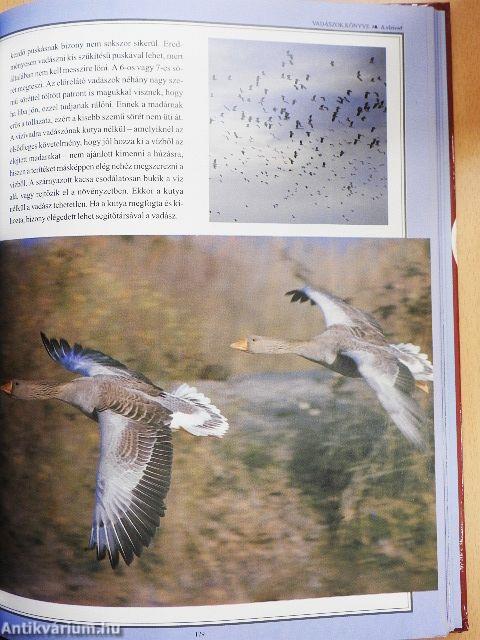 Vadászok könyve