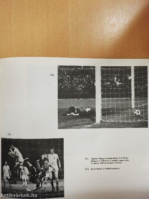 Labdarúgó világbajnokságok