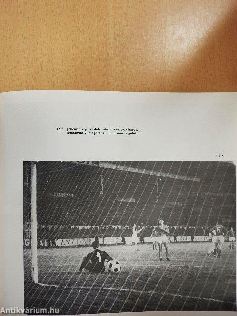 Labdarúgó világbajnokságok