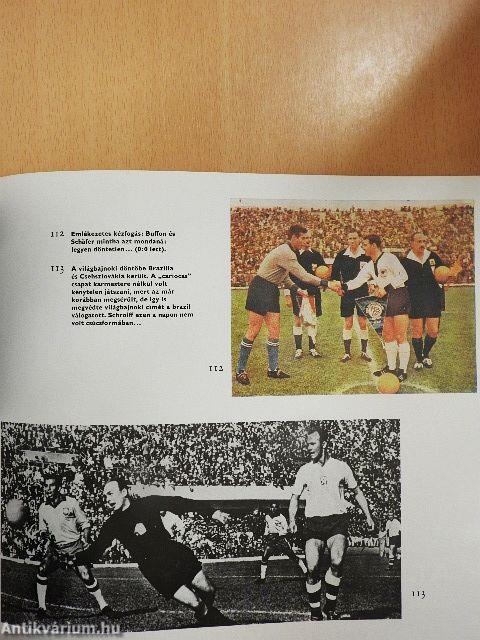 Labdarúgó világbajnokságok