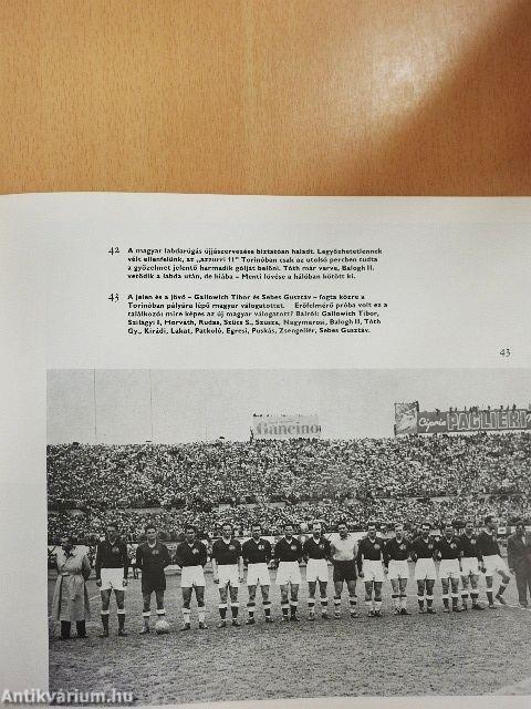 Labdarúgó világbajnokságok