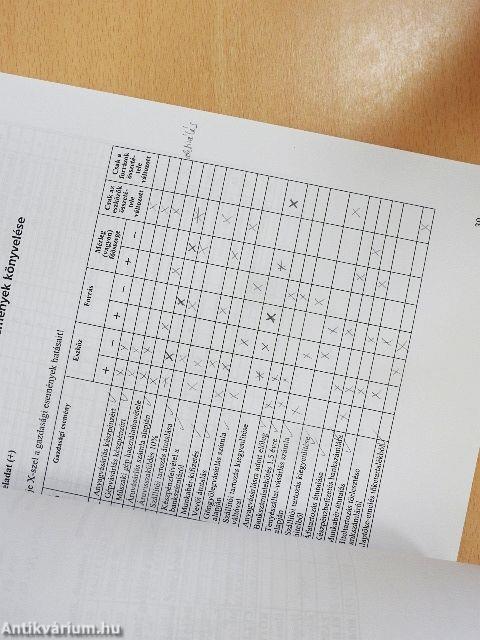 Példatár a számvitel alapjaihoz