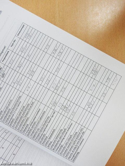 Példatár a számvitel alapjaihoz