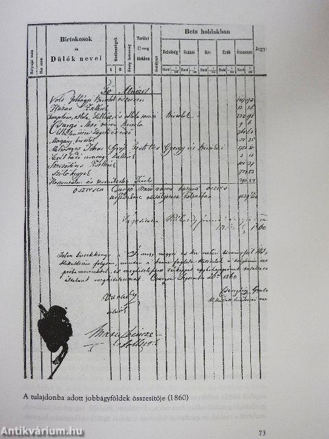 Évezredes ágsorok Dél-Somogyból