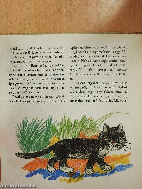 Ali csacsi és a többiek